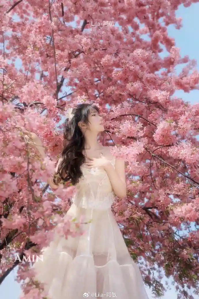 邮箱下载错误示意图